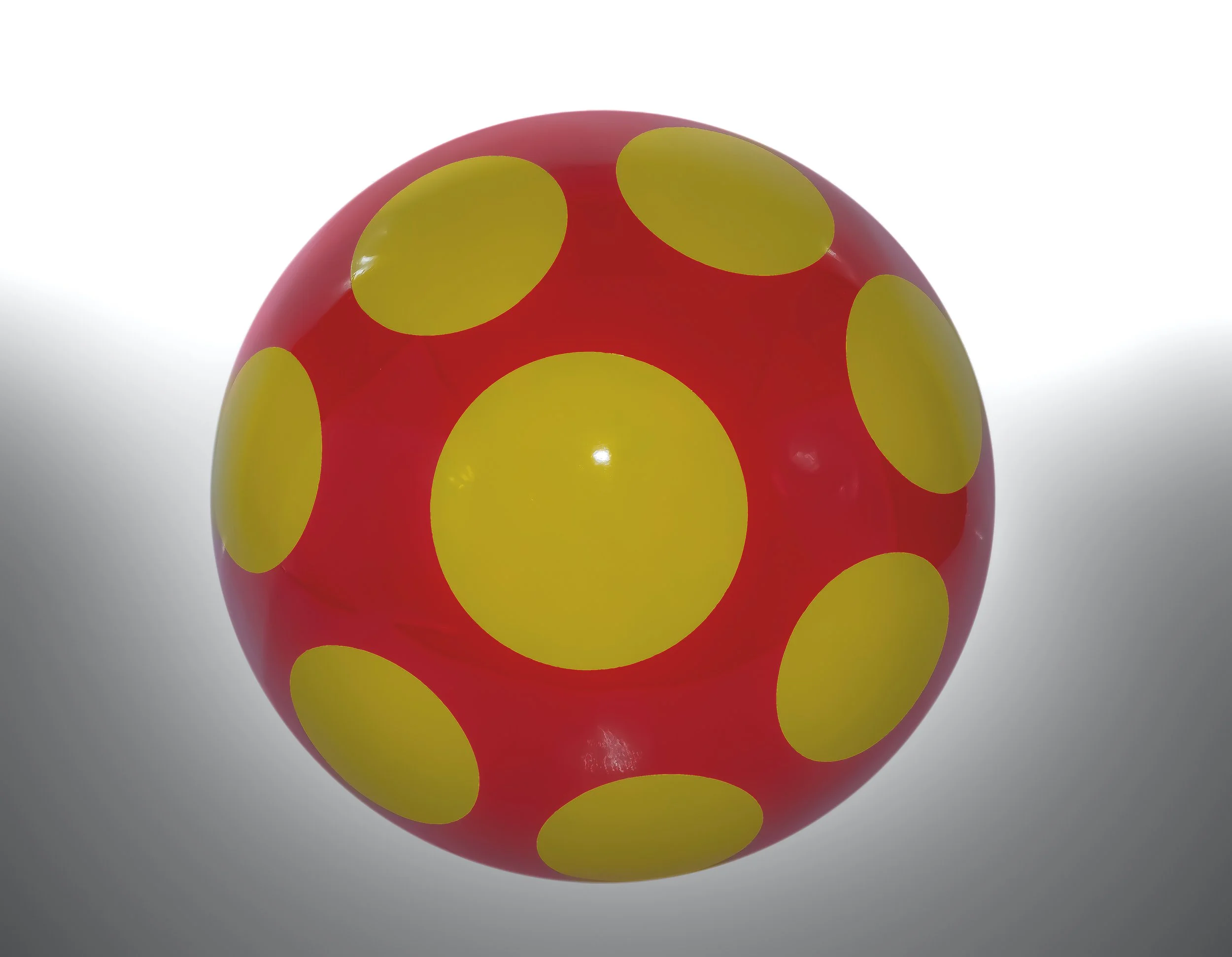 Shiitake Sprouts : Miniature Magic Unveiled