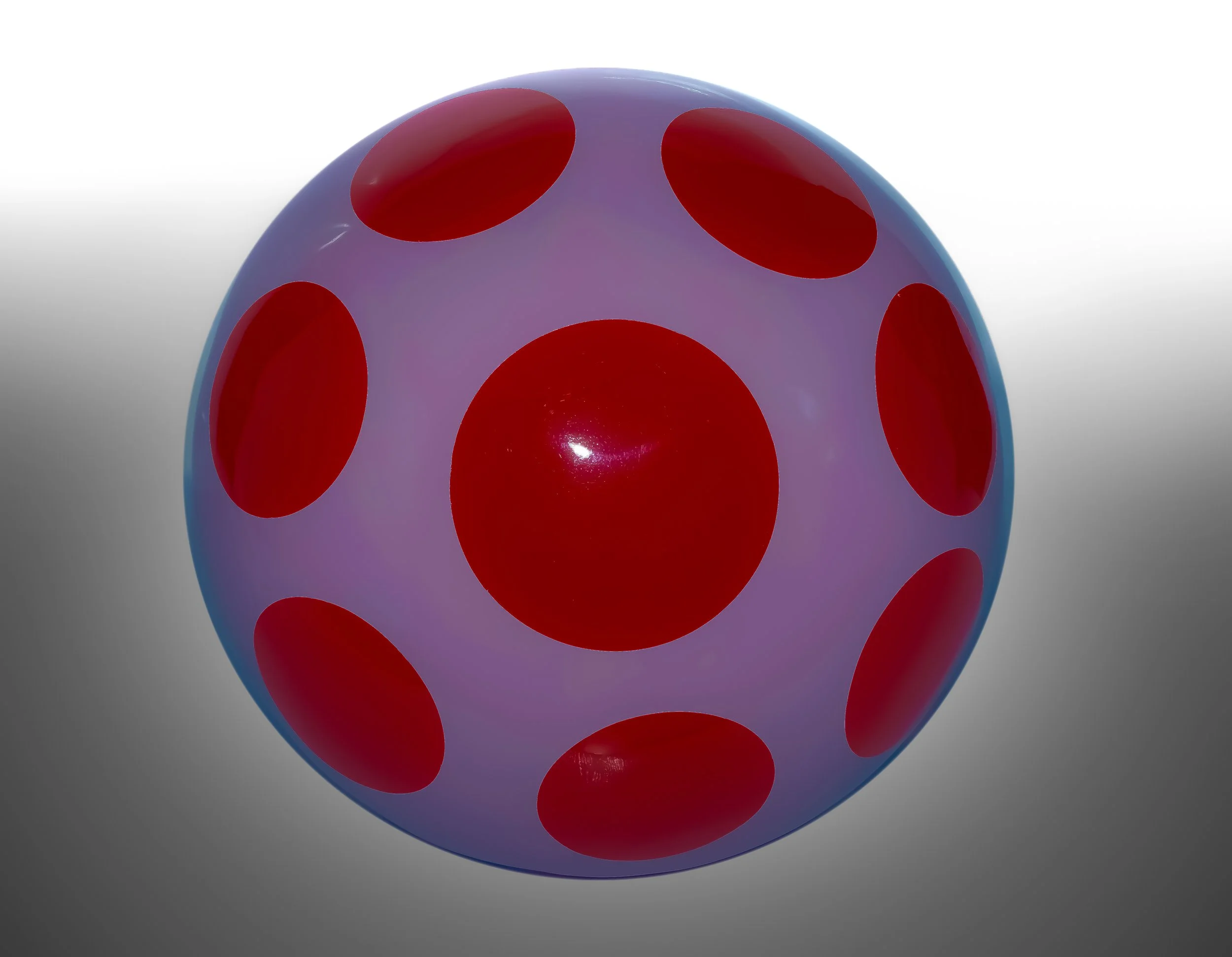 Shiitake Sprouts : Miniature Magic Unveiled