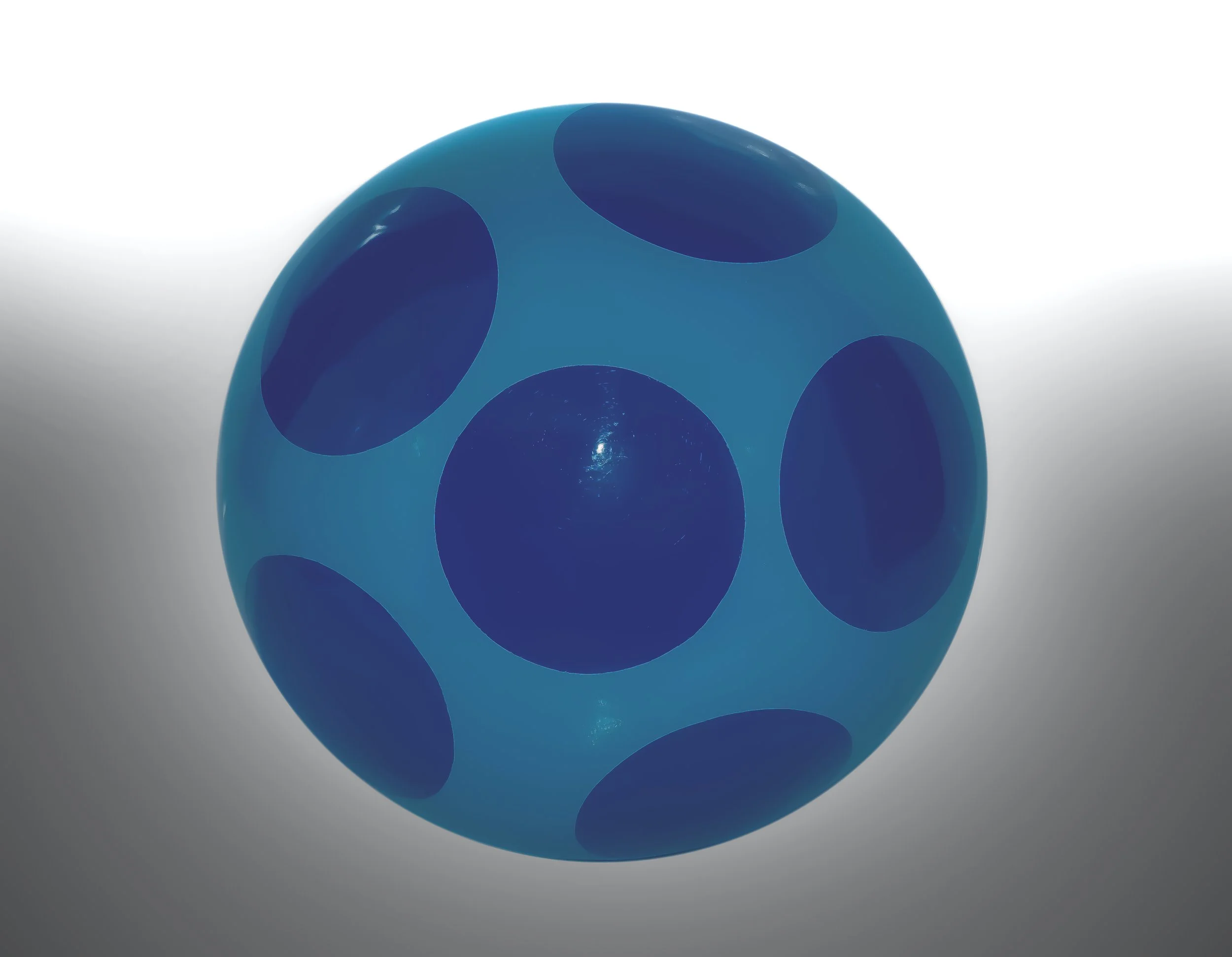 Shiitake Sprouts : Miniature Magic Unveiled