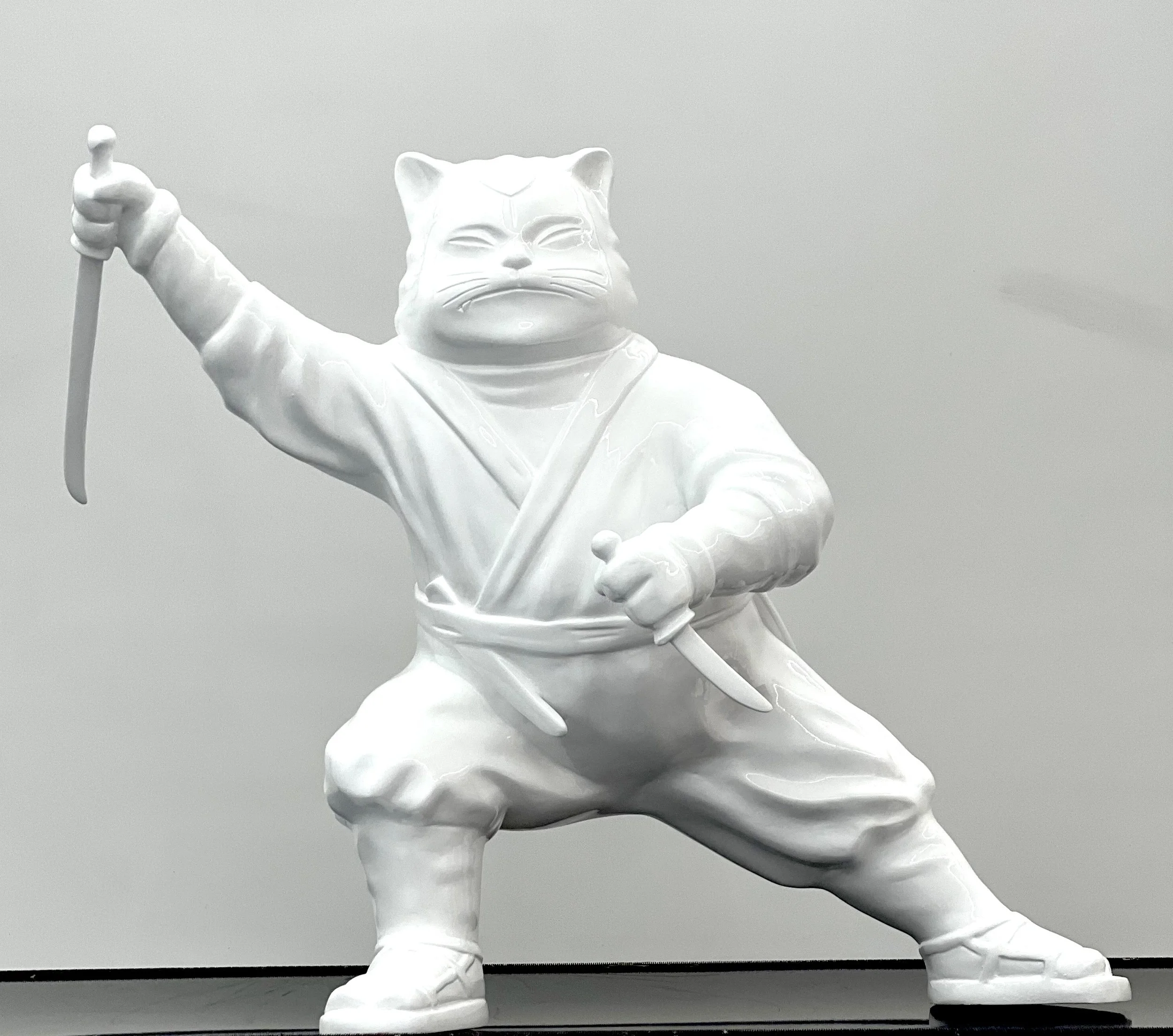 The Enigmatic Journey of Ninjacat: White Stealthy Whiskers