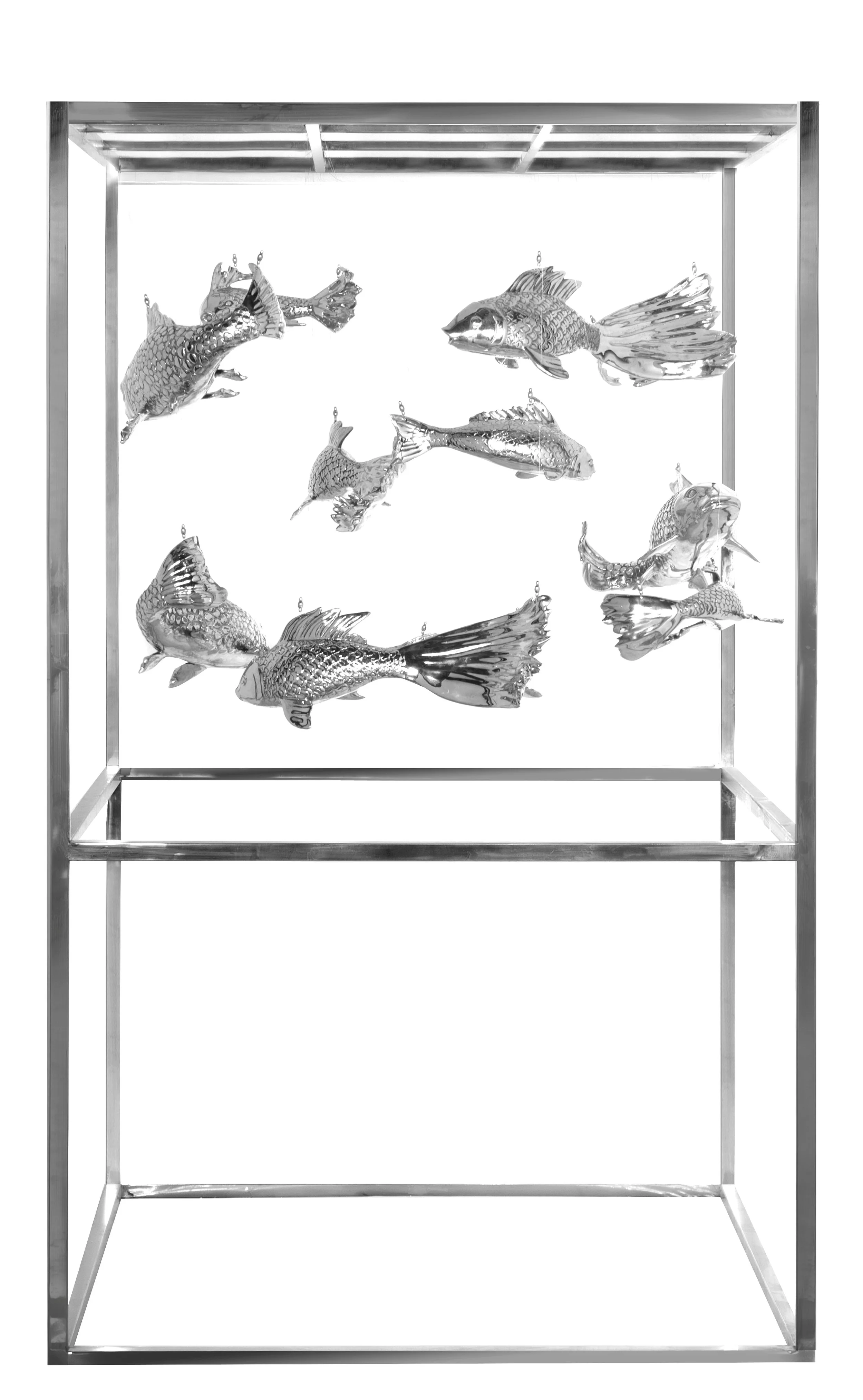 Magoi & Higoi's Dance : Nishikigoi's Serenade in the Celestial Haven