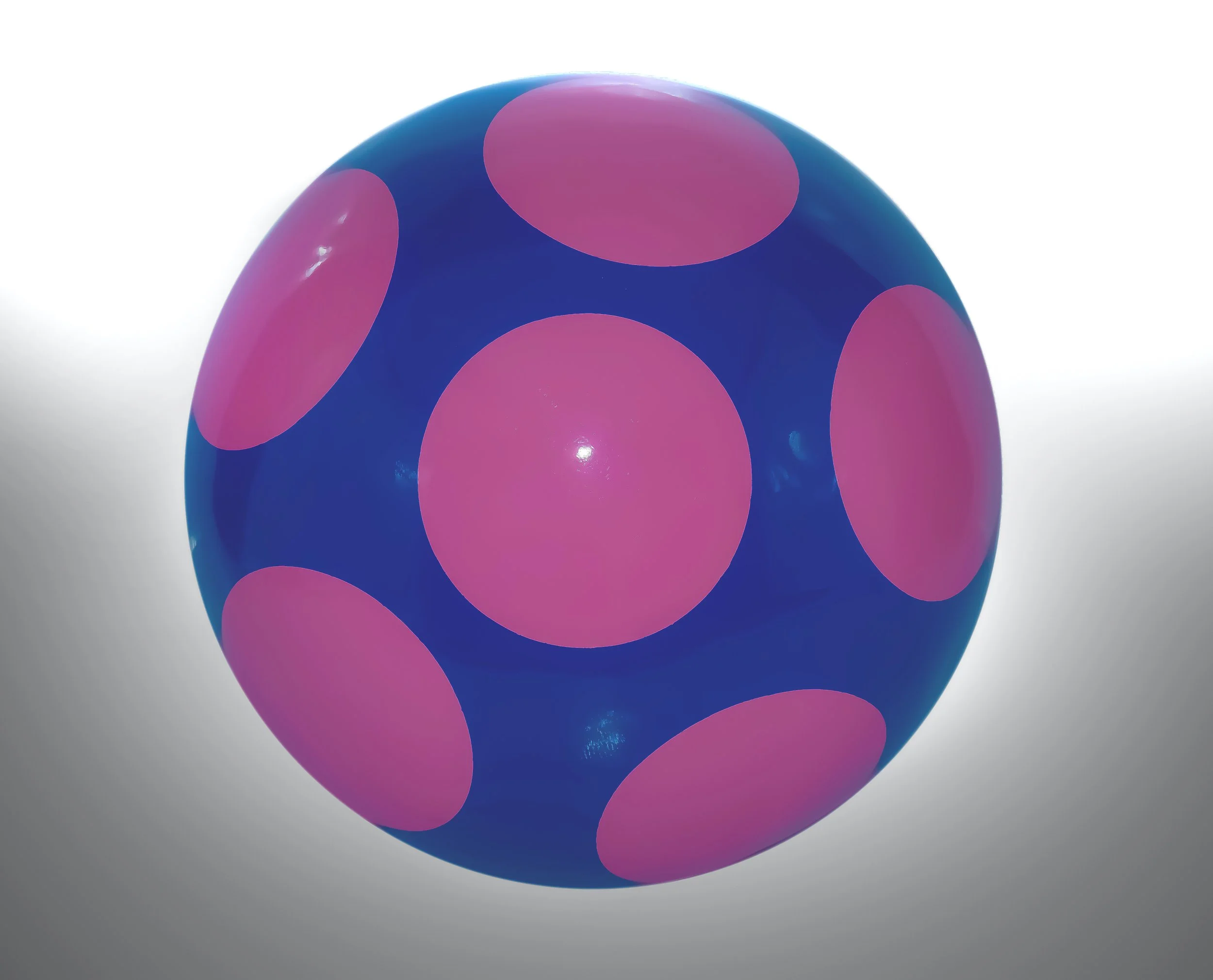 Shiitake Sprouts : Miniature Magic Unveiled