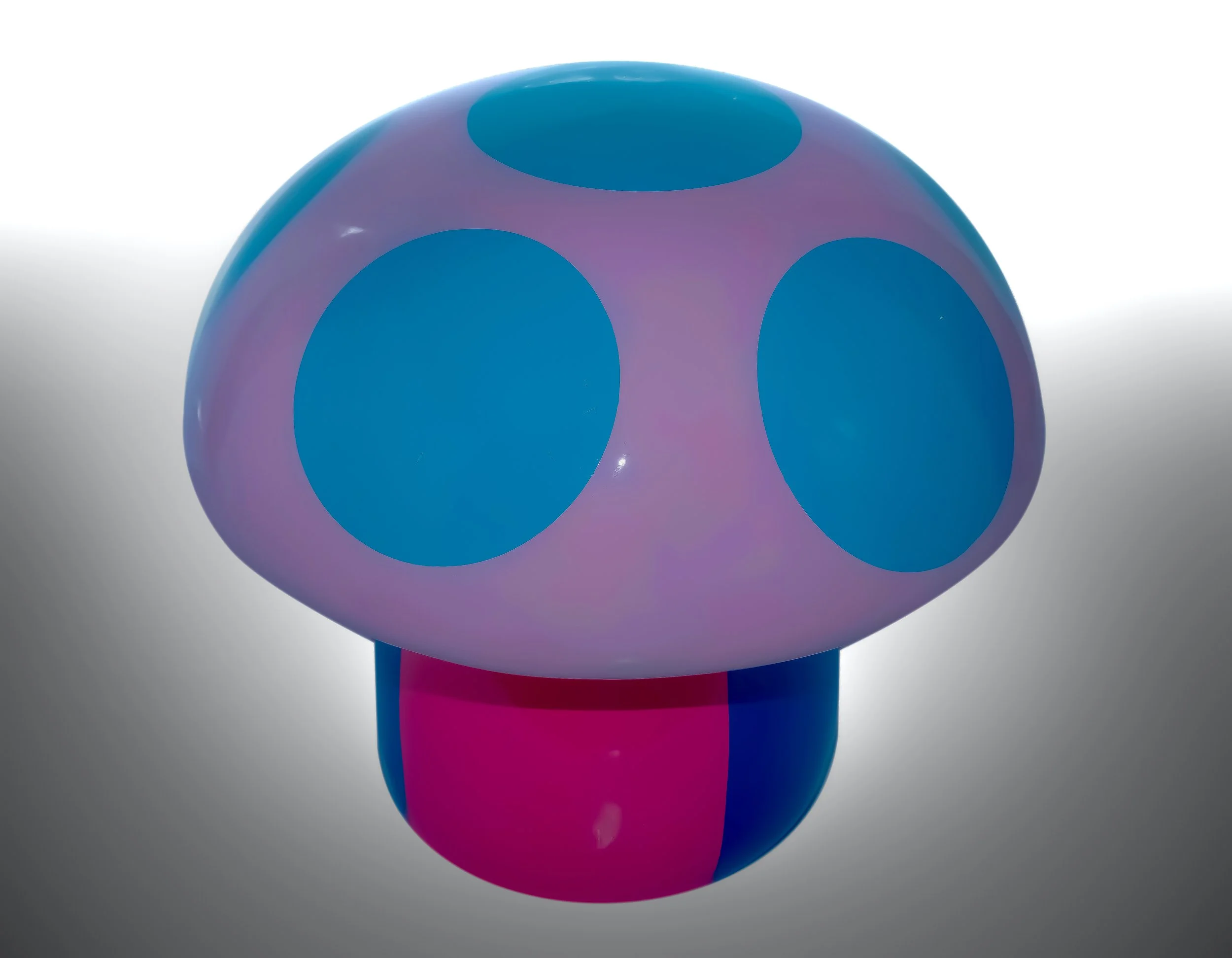 Shiitake Sprouts : Miniature Magic Unveiled