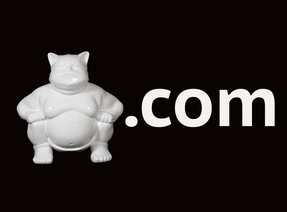 sumocat copie-min.jpg