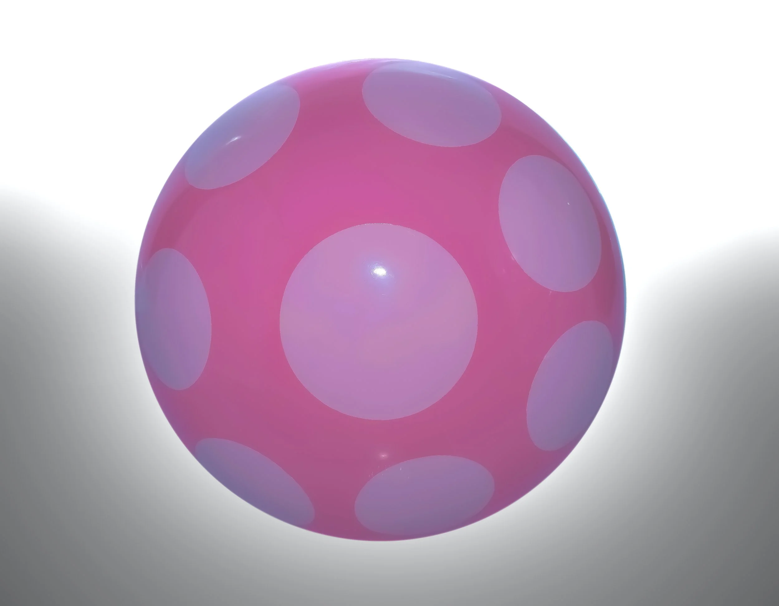 Shiitake Sprouts : Miniature Magic Unveiled