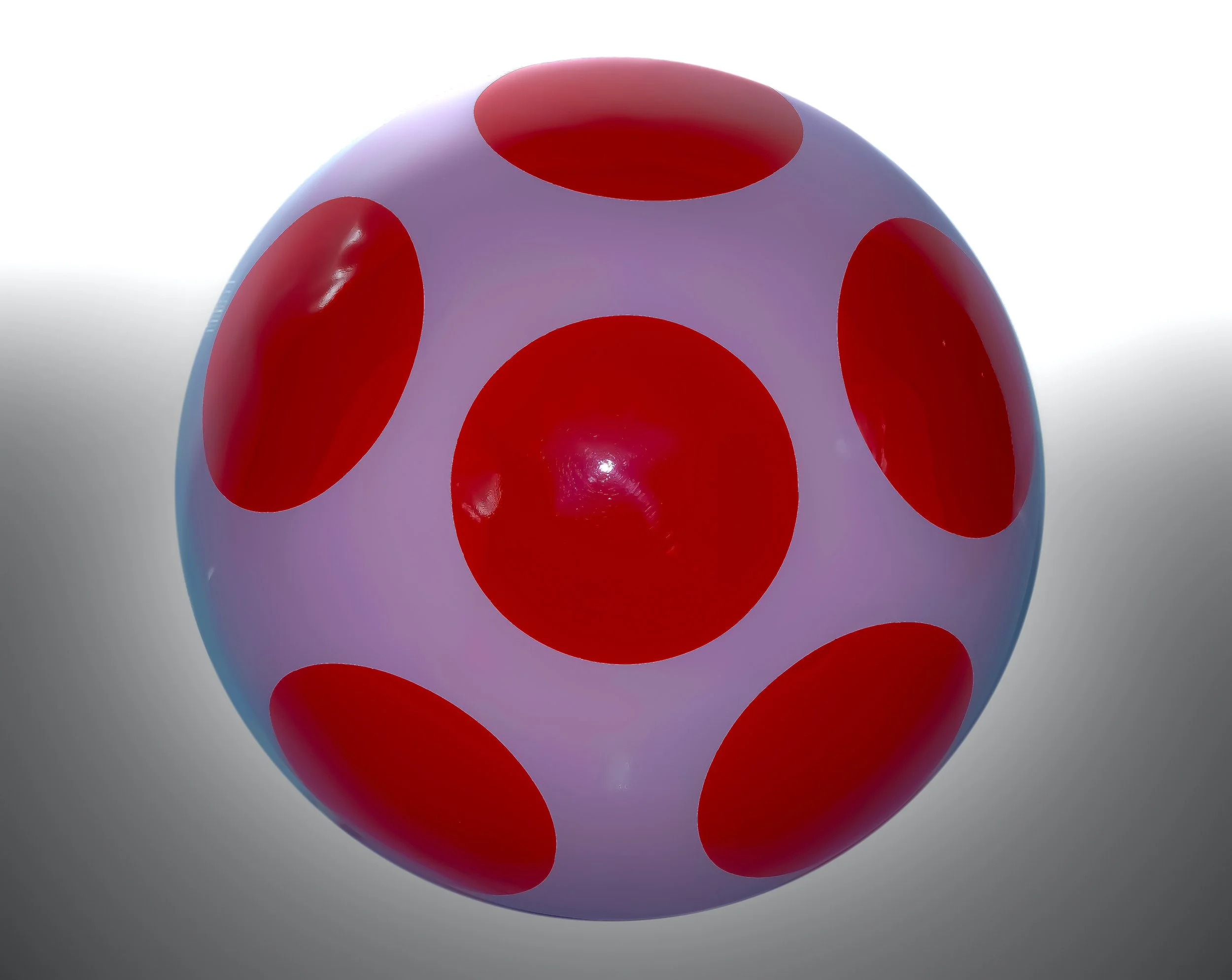 Shiitake Sprouts : Miniature Magic Unveiled