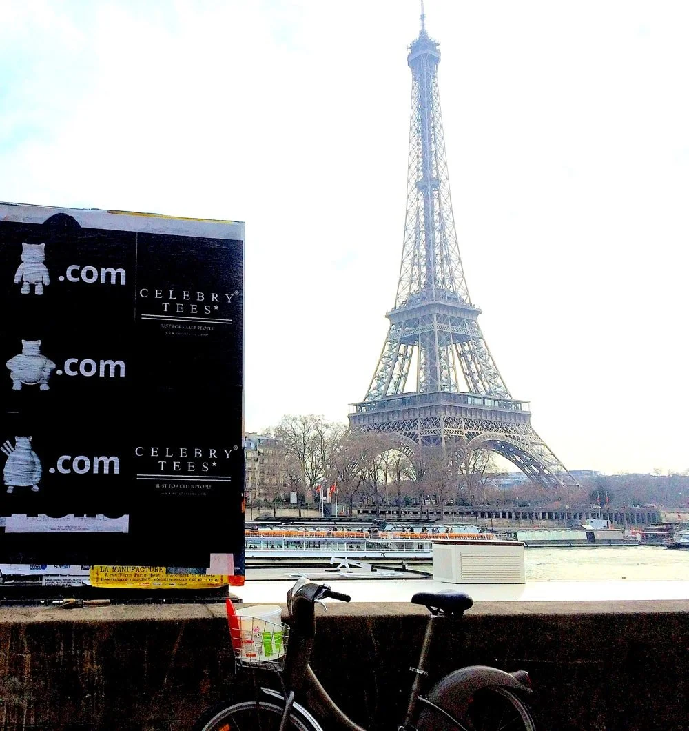 The Rise of Neo-Pop Cats in Paris
