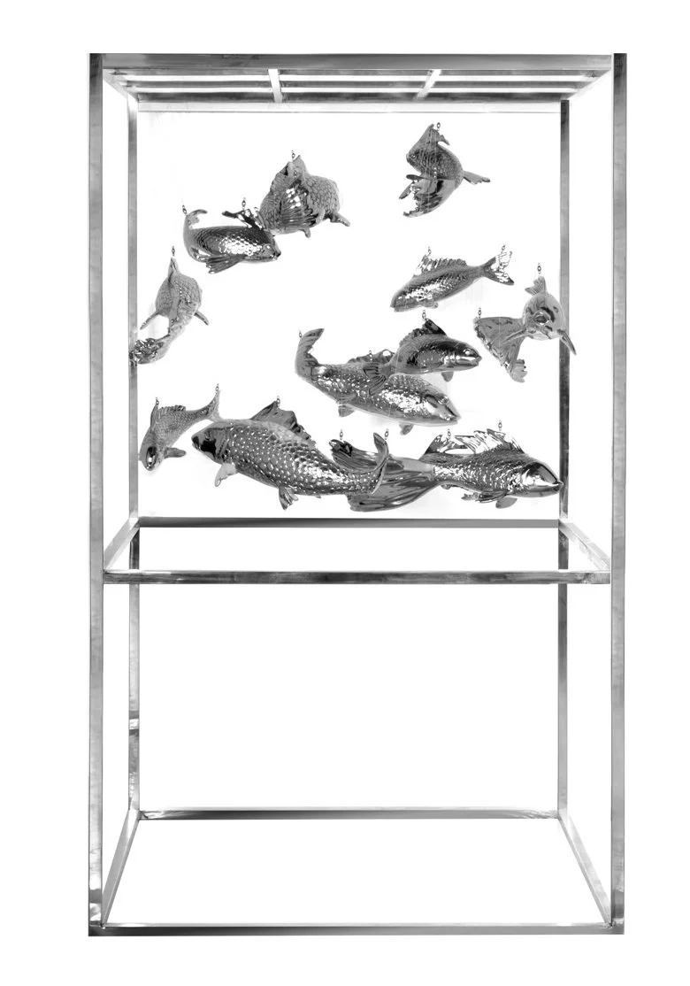 Magoi & Higoi's Dance : Nishikigoi's Serenade in the Celestial Haven