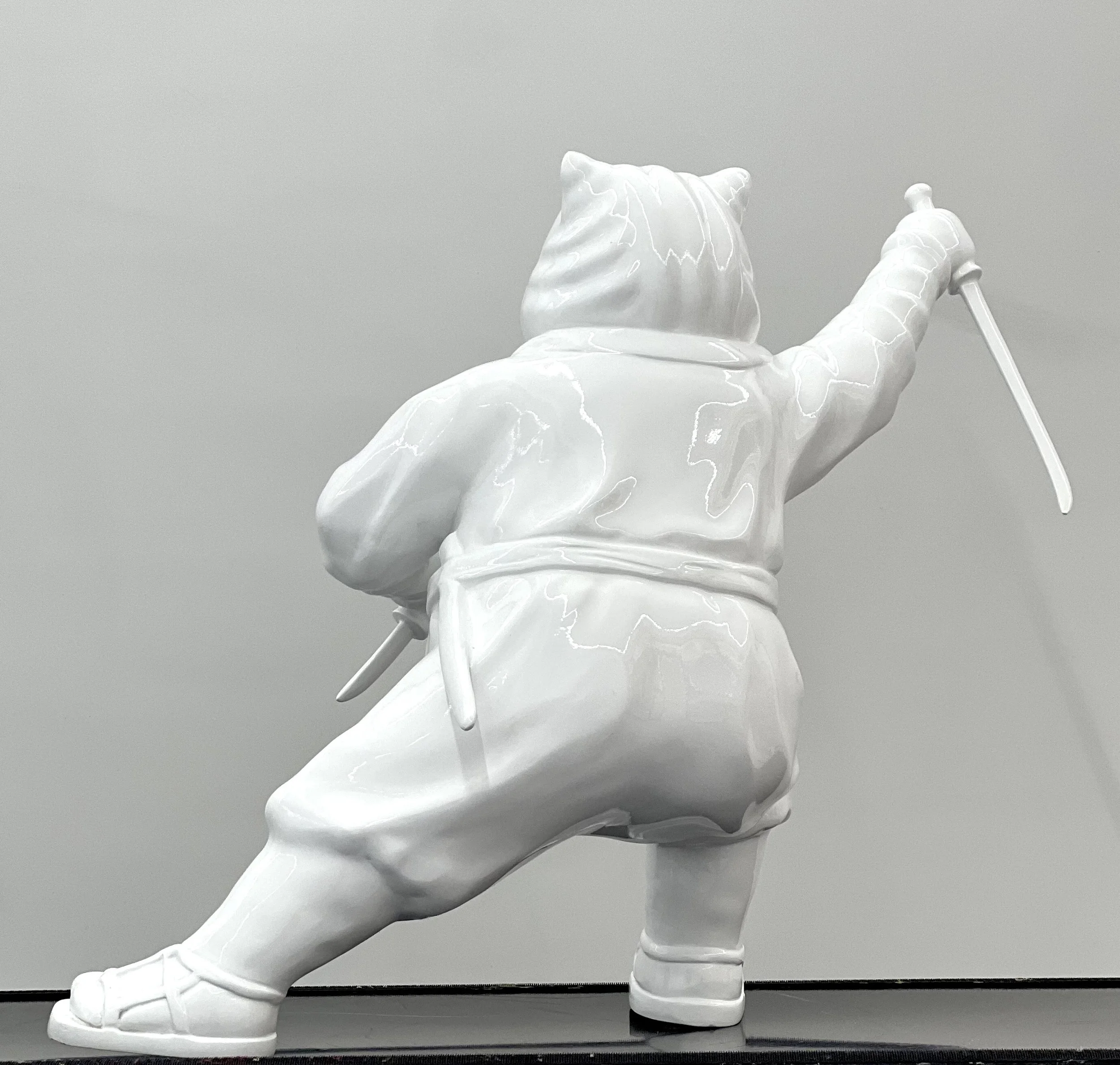 The Enigmatic Journey of Ninjacat: White Stealthy Whiskers