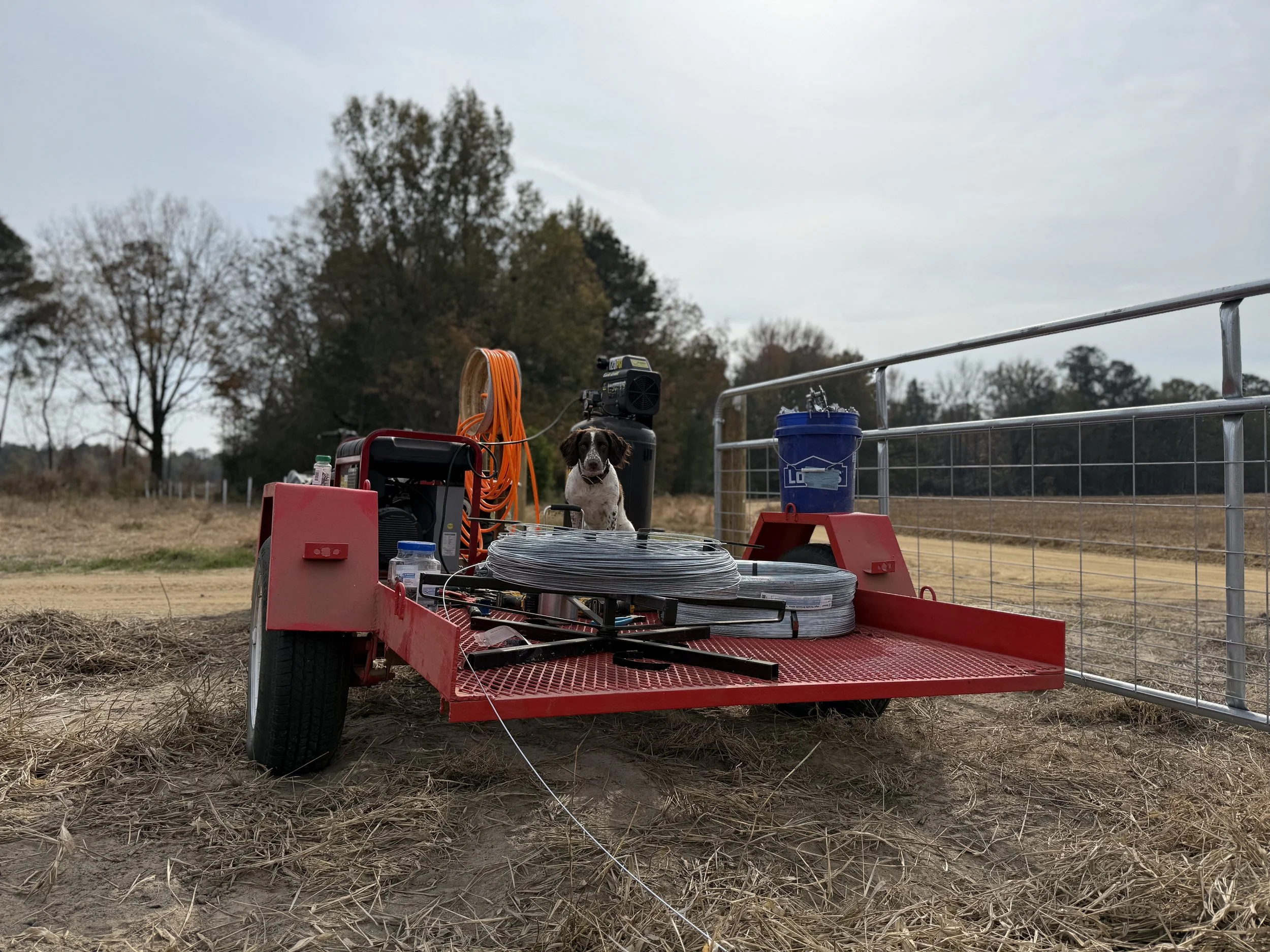 A small dog sitting on a red utility trailer filled with equipment, including coiled wire, a blue bucket, and miscellaneous tools, in an outdoor rural setting with trees and a cloudy sky.