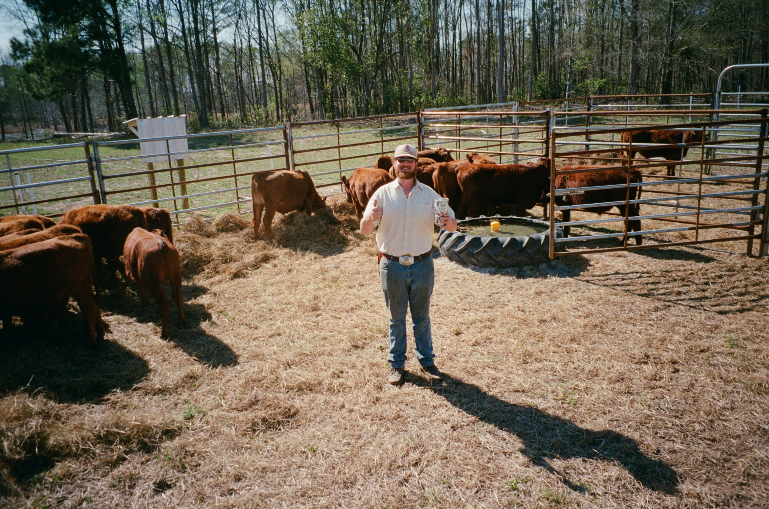 A man standing in a cattle pen holding a drink and smiling, surrounded by brown cows, with trees in the background and a large tire feeder on the ground.