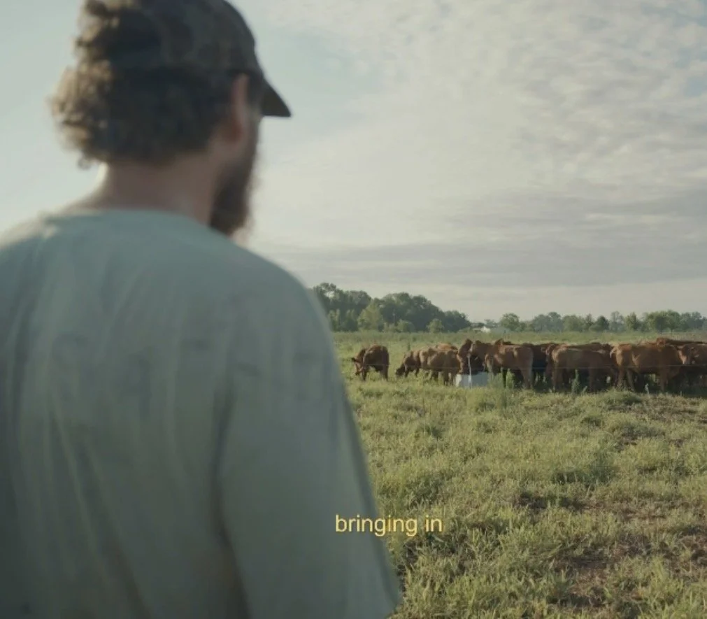 A man with a beard and cap standing outdoors on a farm or rural area, watching a herd of cows near a water source, with a cloudy sky overhead.