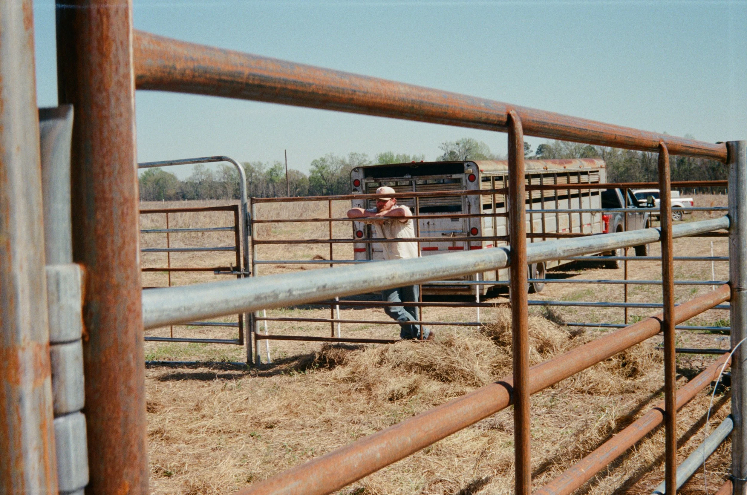 A man leaning on a metal fence near a horse trailer in an open field.