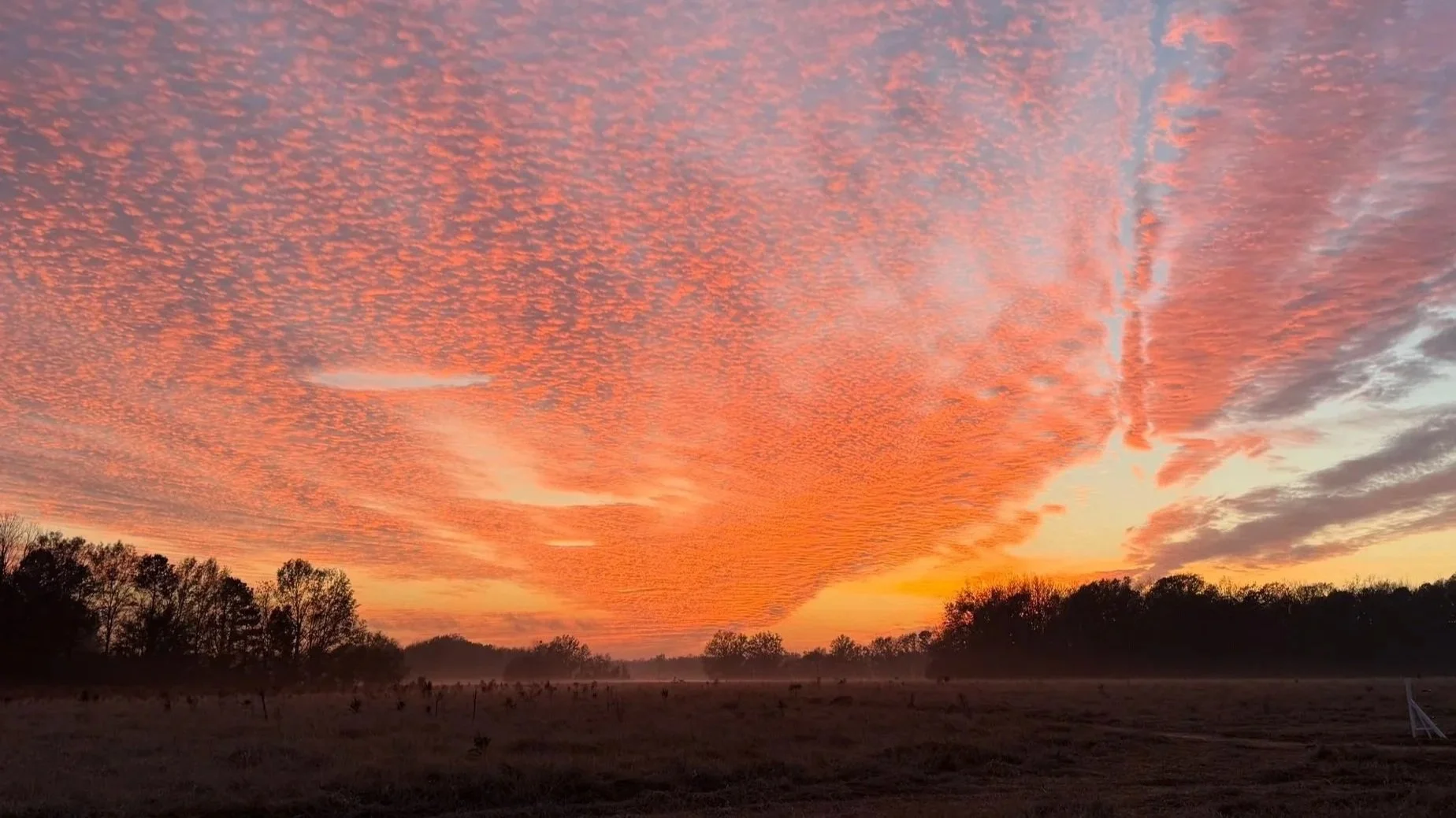 A vibrant sunset sky with orange and pink clouds over a rural landscape with trees and open field.