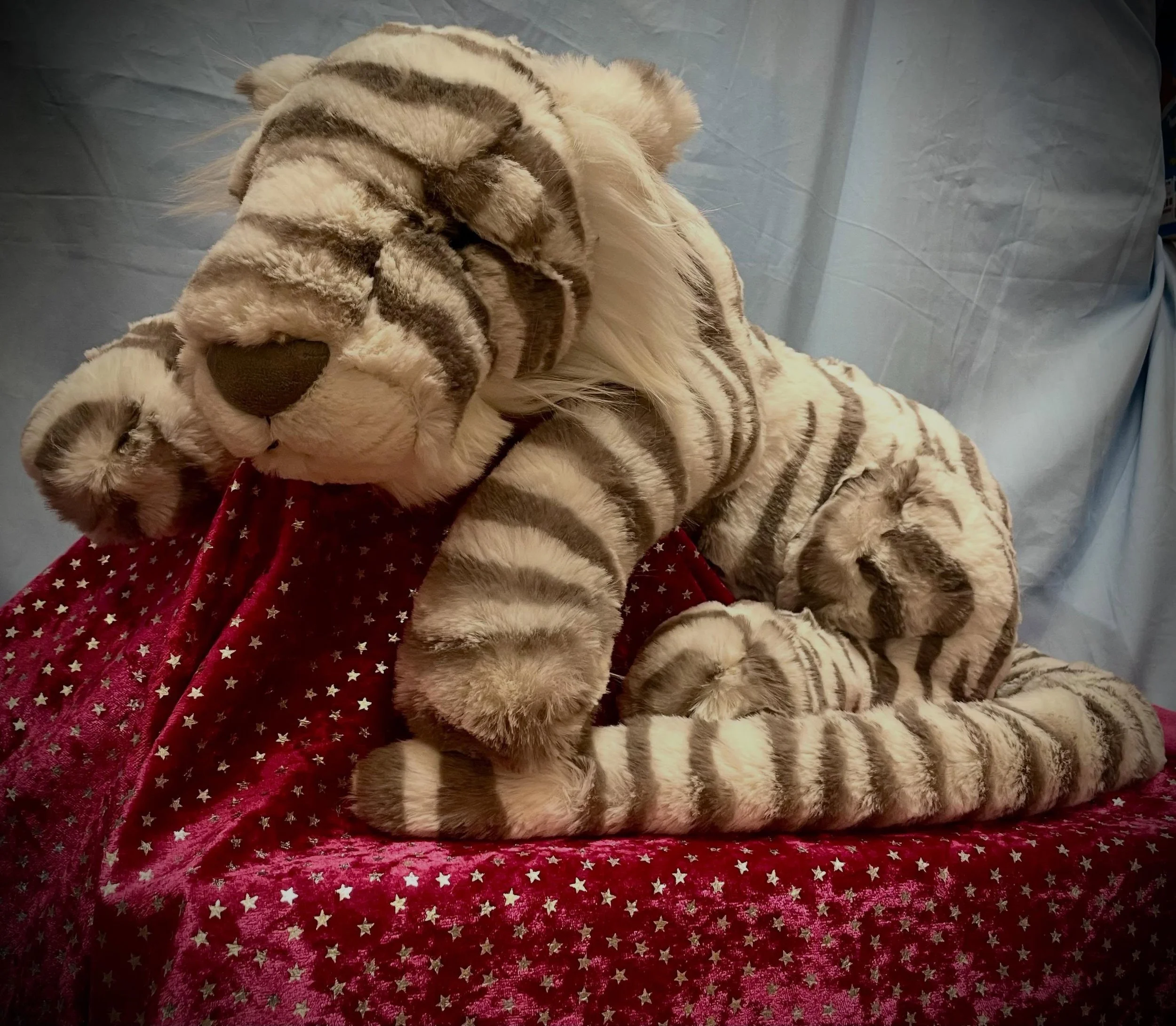 Just got home from @astratoy and were greeted by this absolutely classic diva from @jellycat! Welcome back Sacha Snow Tiger.
Swing by Rainbow Toys to see her and all the fabulous new friends we got in. 
.
#shoplocal #jellies #rainbowtoys #sachasnowti