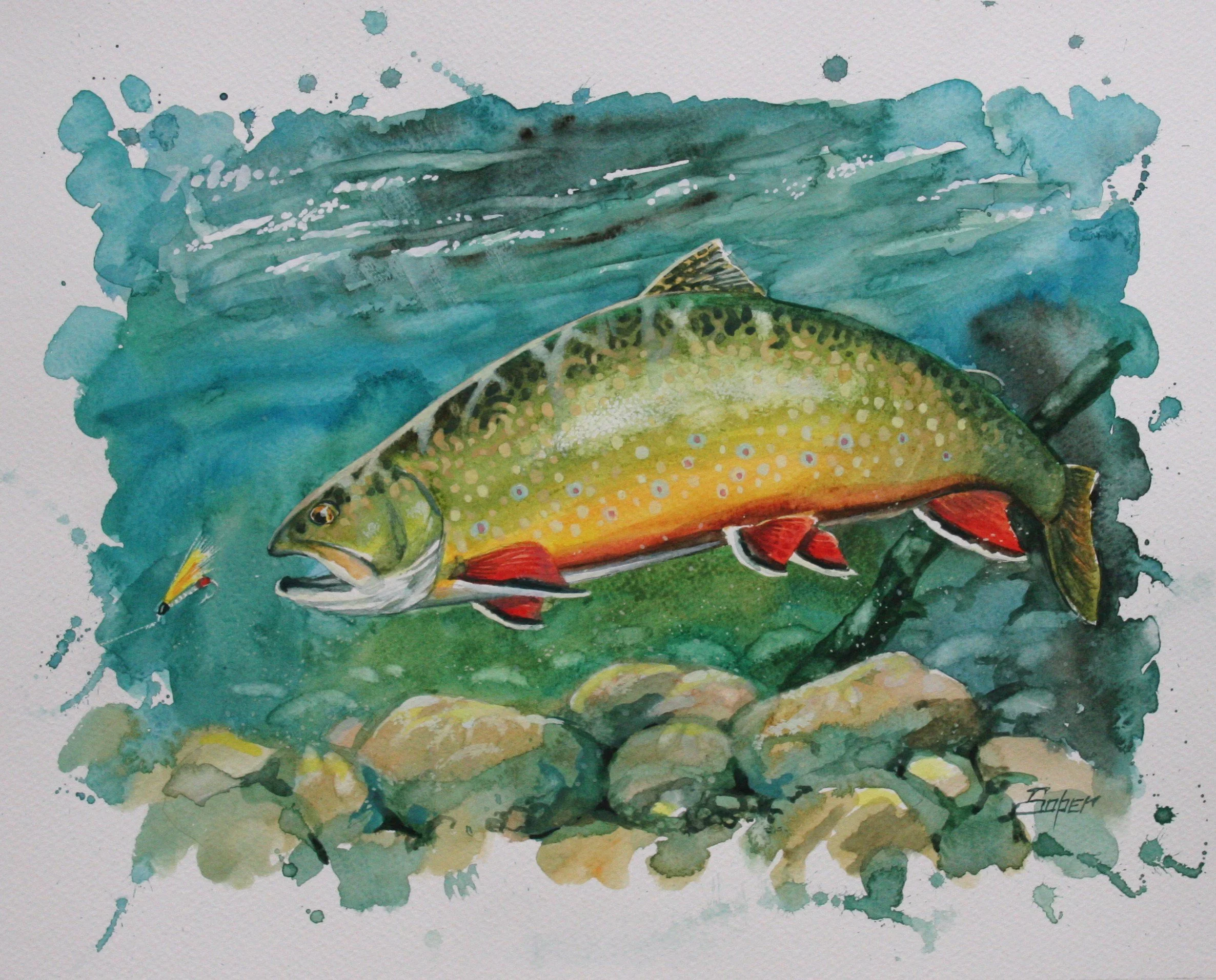 brook trout1.jpg