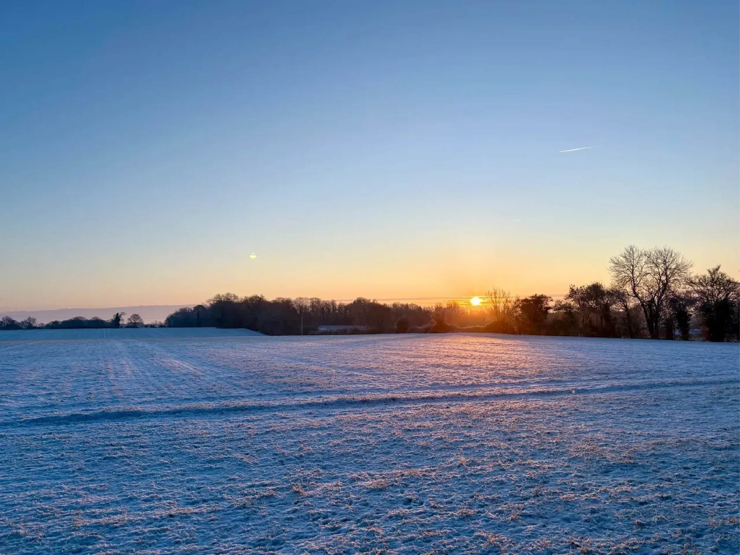 January 2026 Newsletter