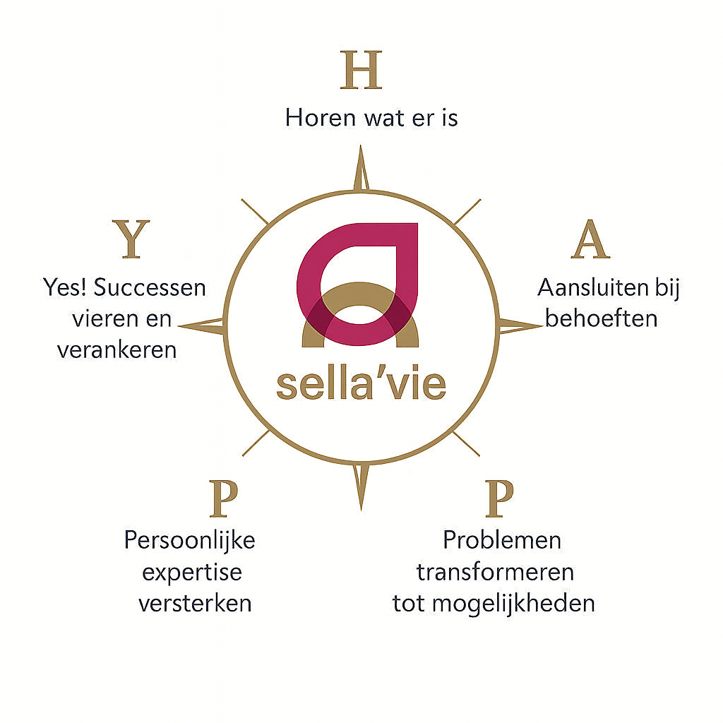 Diagram met het woord 'sella'vie' in het midden, omringd door woorden en zinnen over succes, behoeften, expertise, problemen en water.