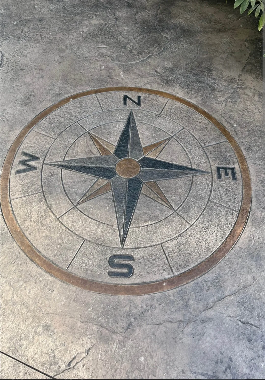 A decorative compass rose design embedded in a stone or concrete floor, featuring a star with black and brown segments, and the directions N, E, S, and W marked around it.