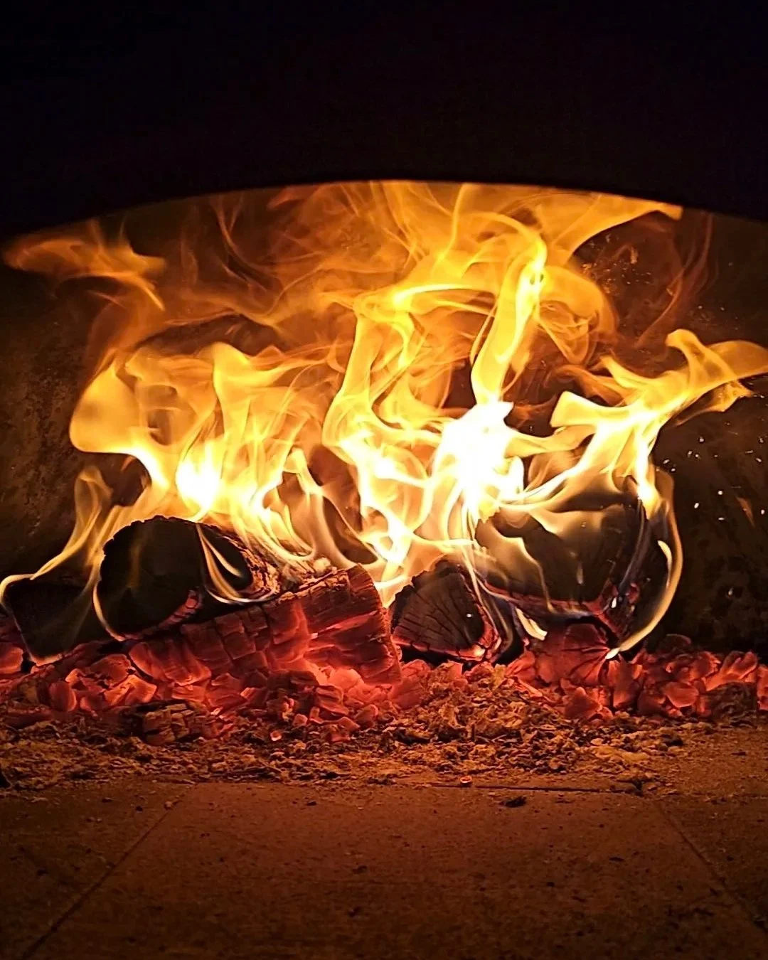 CHEF DEMO : Cooking Over Fire with Ryan & Liam 