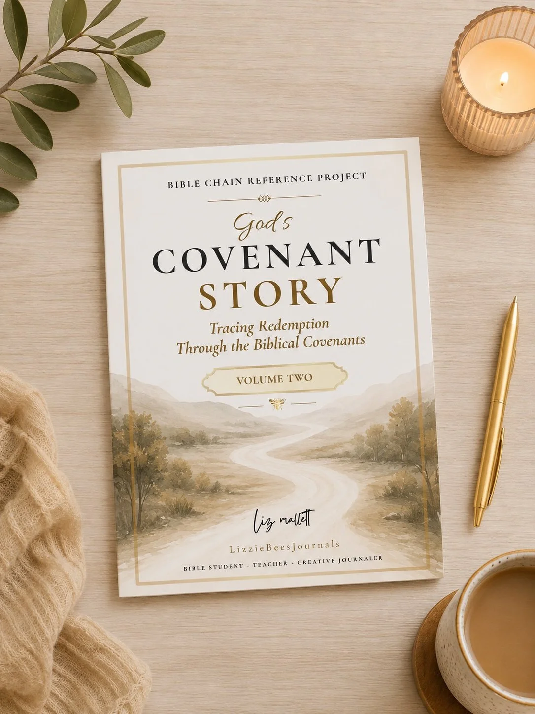 God's Covenant Story- Vol 2 (Bible Chain Reference)