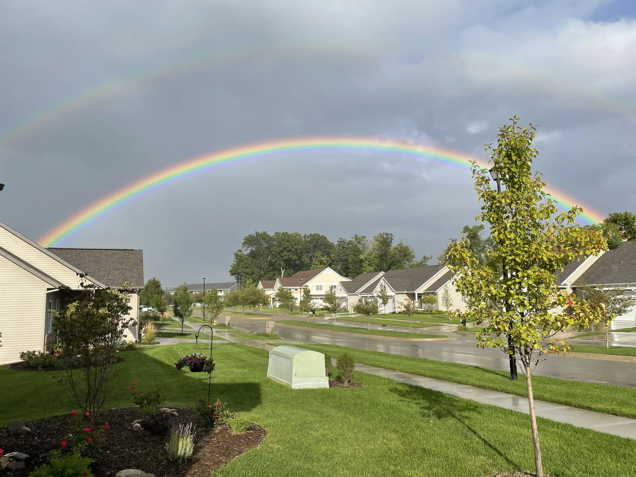 Rainbows over a residential neighborhood with green lawns, trees, and houses after rain.