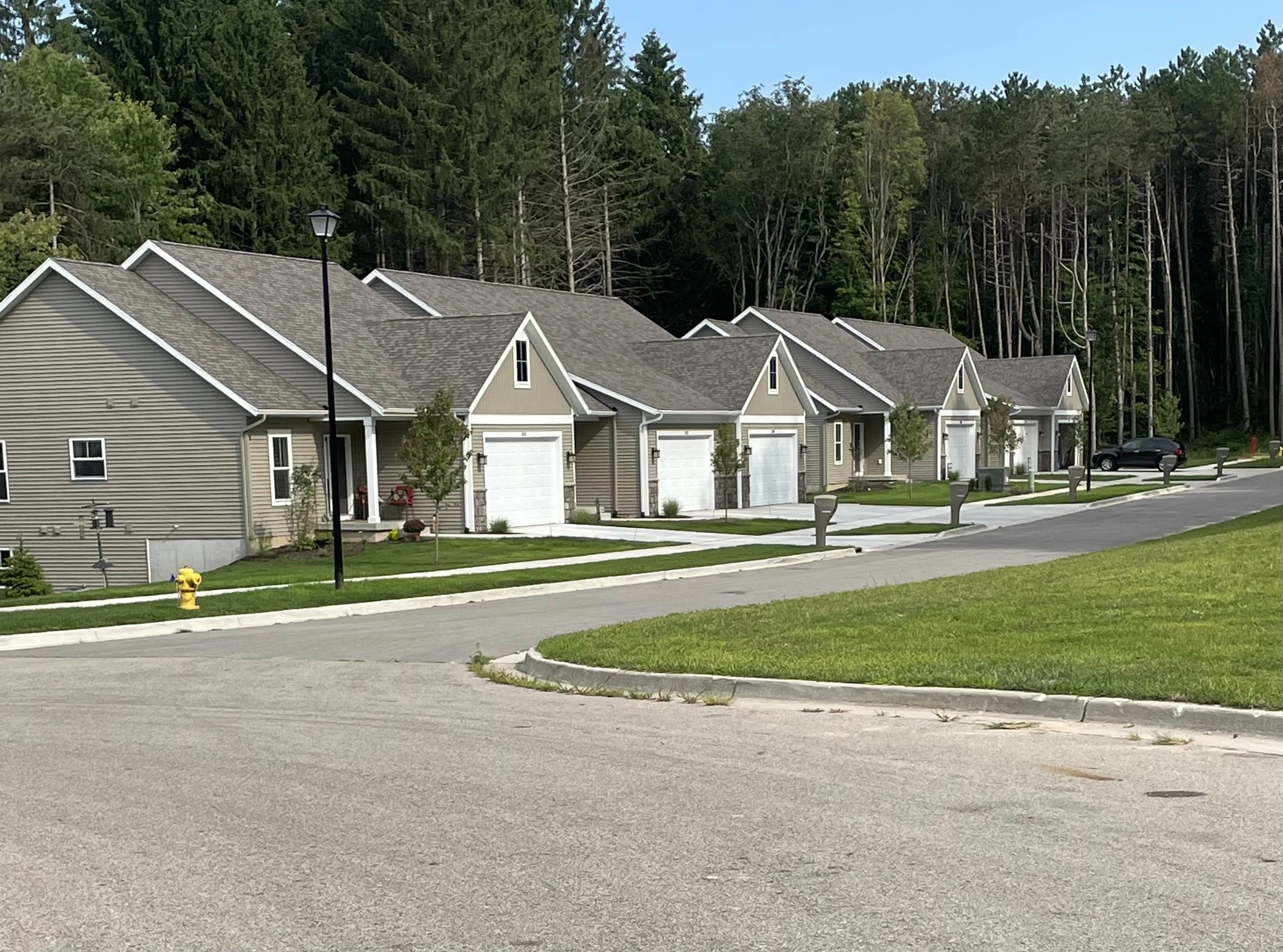 Row of modern houses with attached garages and manicured lawns, set against a wooded backdrop.