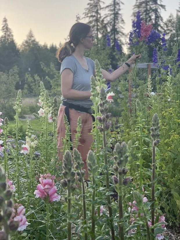 Amber website harvesting.jpeg