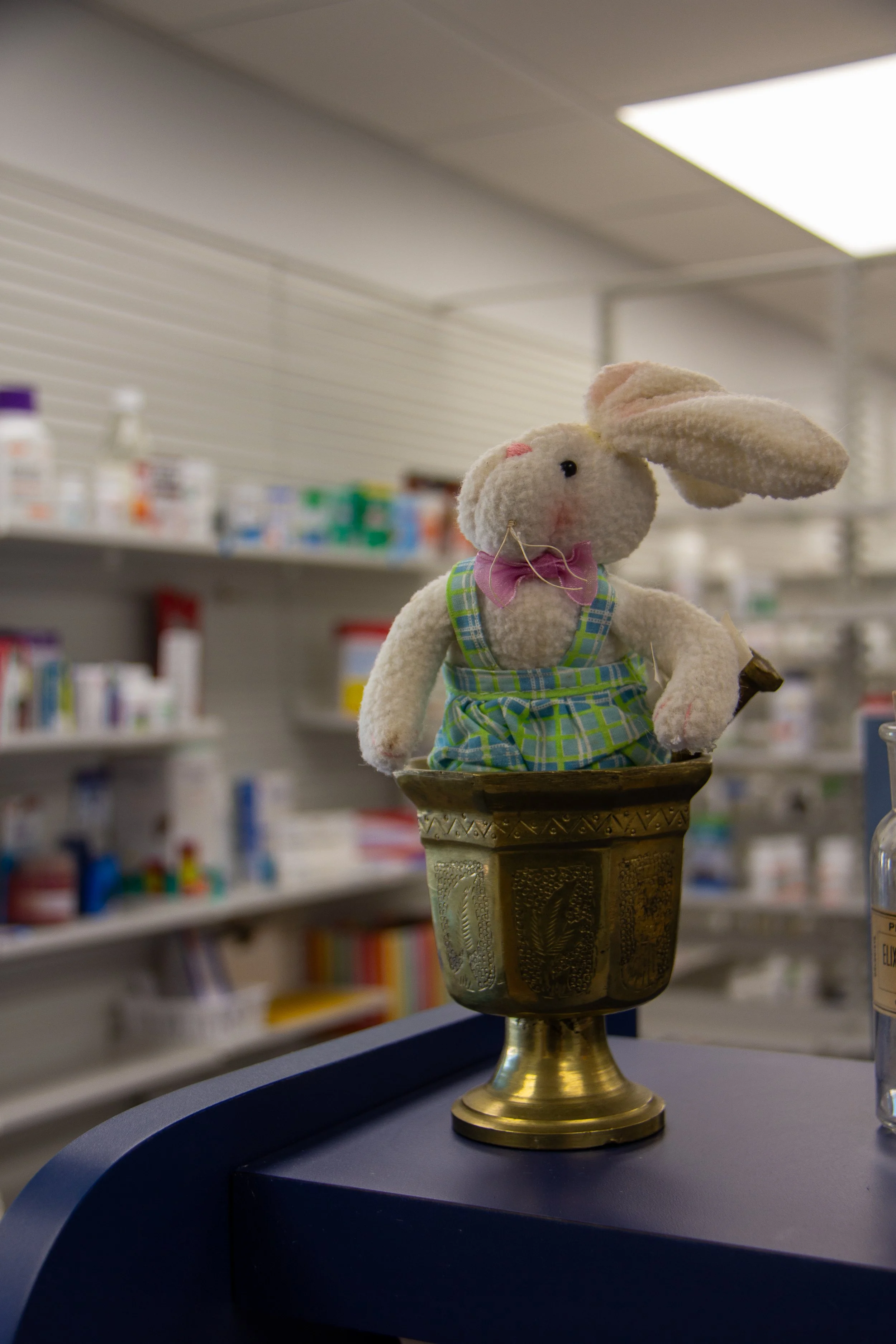 A stuffed bunny wearing a checkered shirt with a pink bow and a small nose, placed inside a decorative gold-colored cup on a table in a pharmacy or medical store with shelves of medicines in the background.