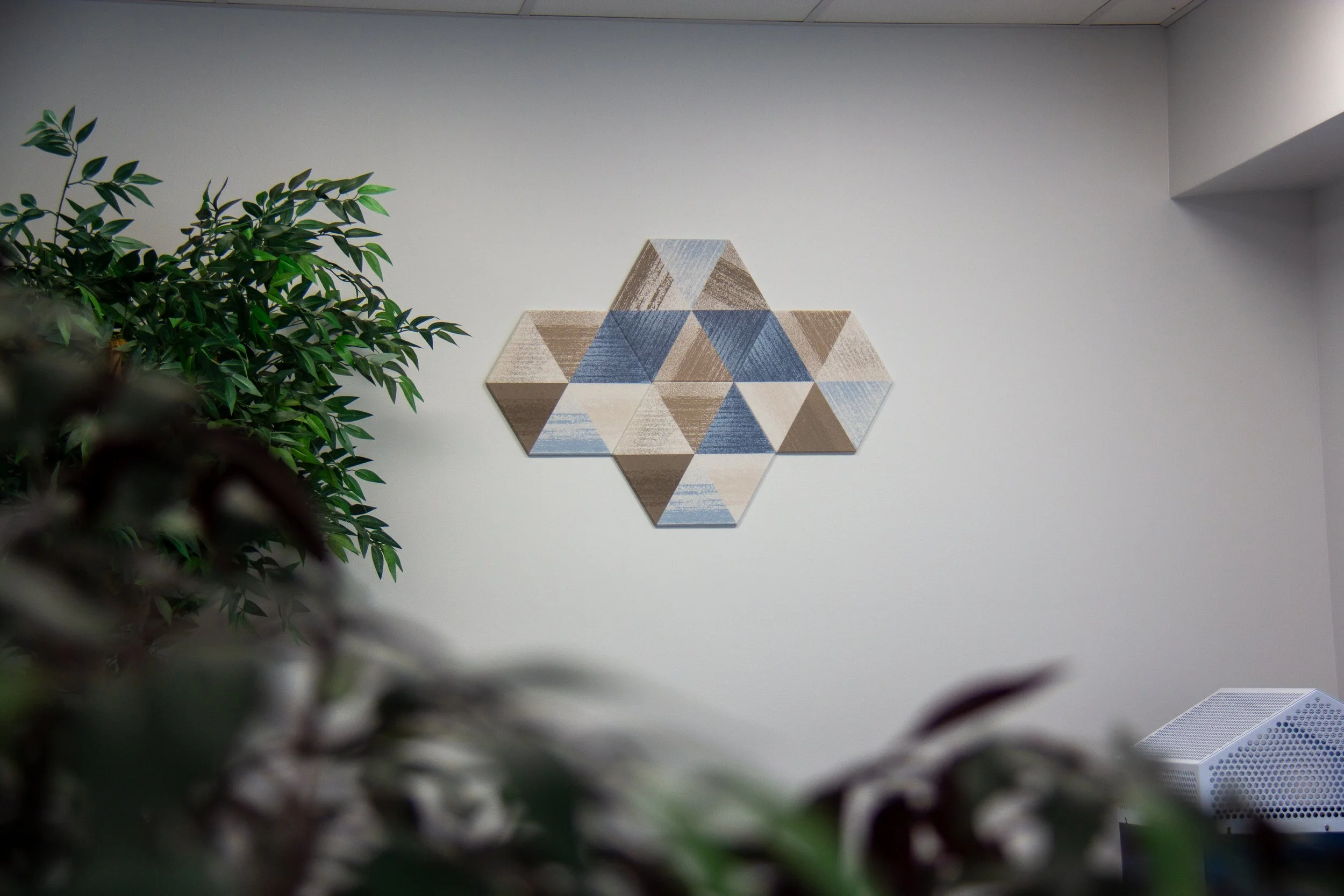 Indoor office wall with hexagonal wall art and a large plant on the left.
