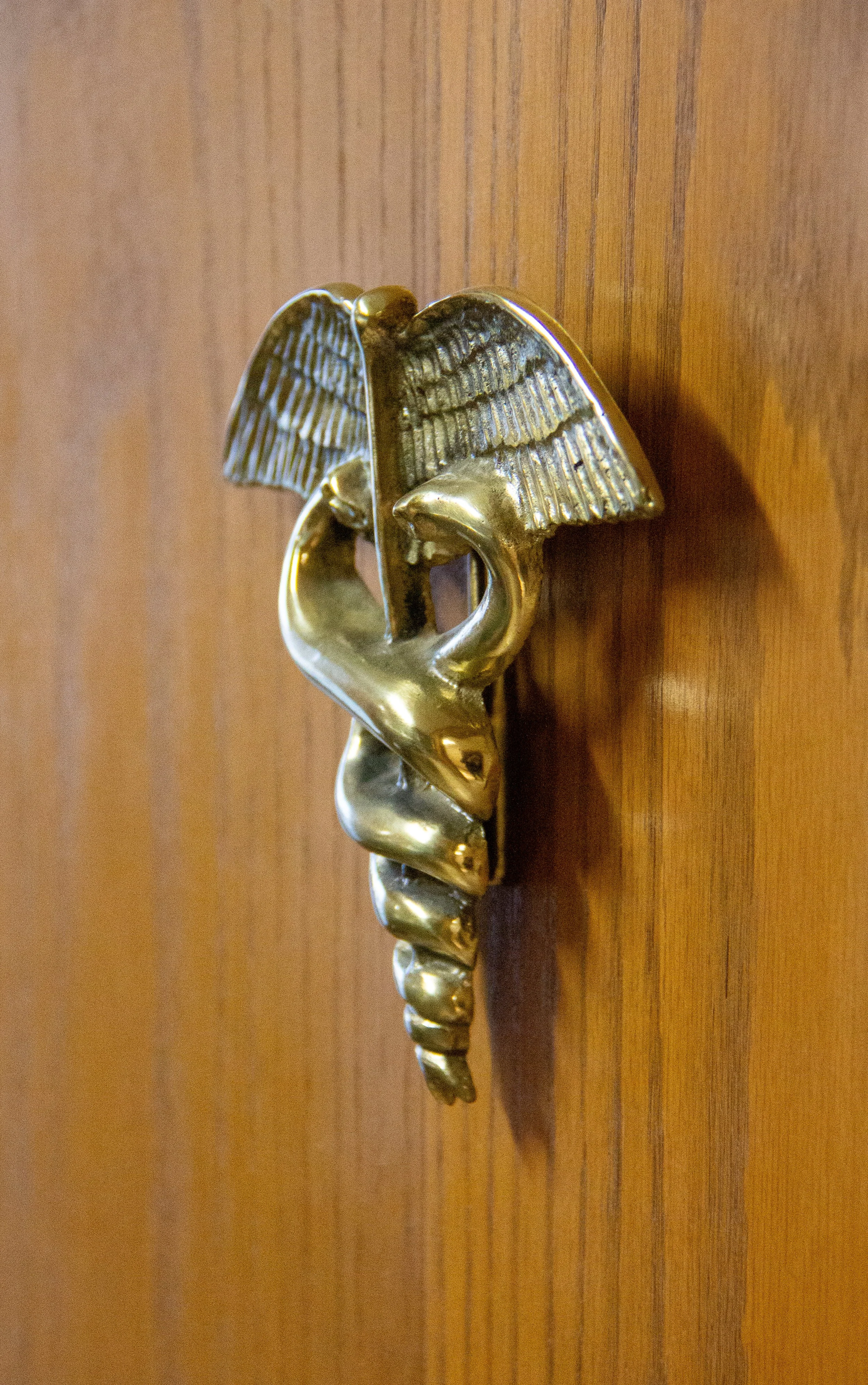 Golden Caduceus mounted on a wooden door.