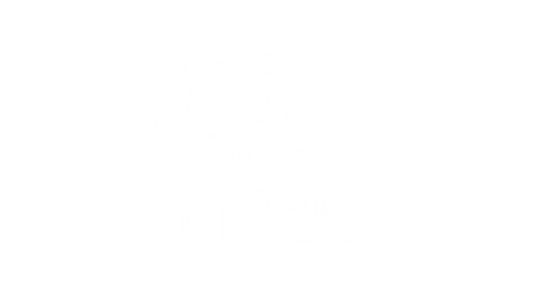TideMRV logo