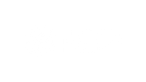 University of Trieste logo