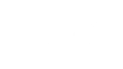 University of Palermo logo