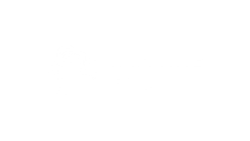 Imagine H2O logo