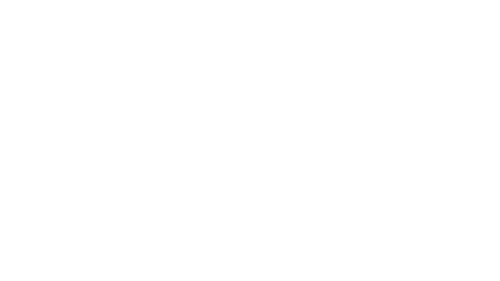 Ecologic Institute logo