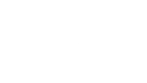 BlueOasis logo