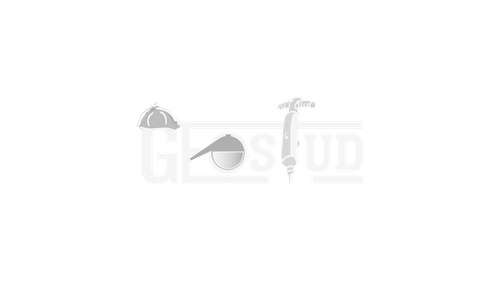 Geostud logo