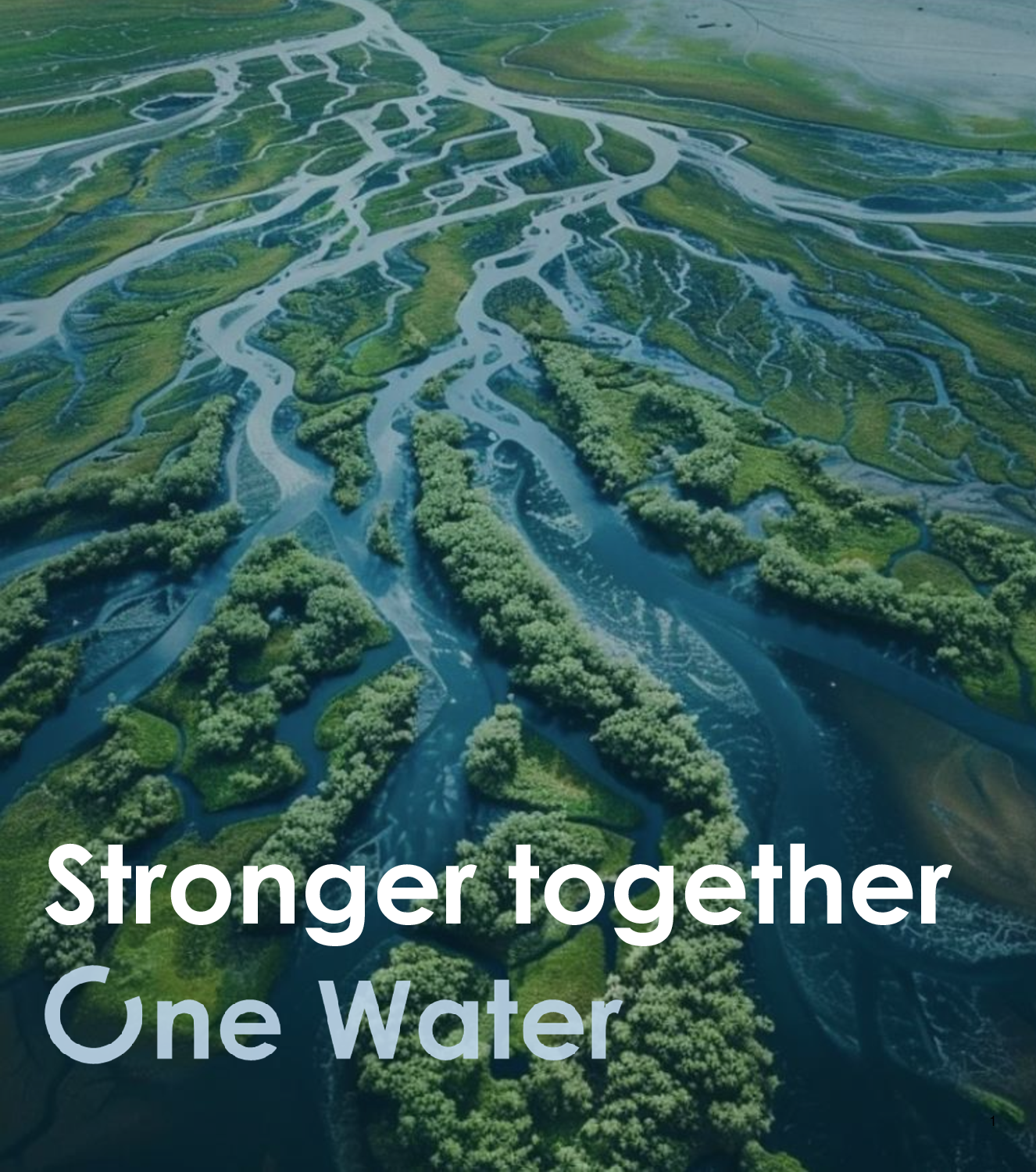 Stronger together