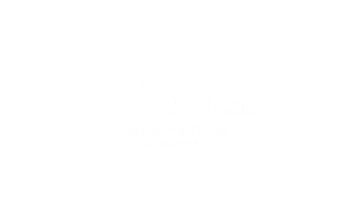 BlueNetCat logo