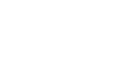 17.png