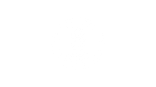 University of Bergen logo