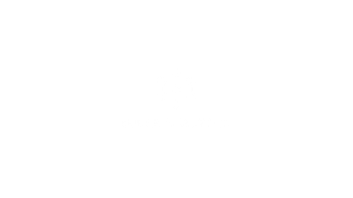 Euler Analytics logo