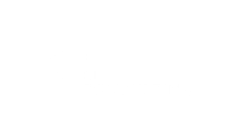 Blu consulting logo