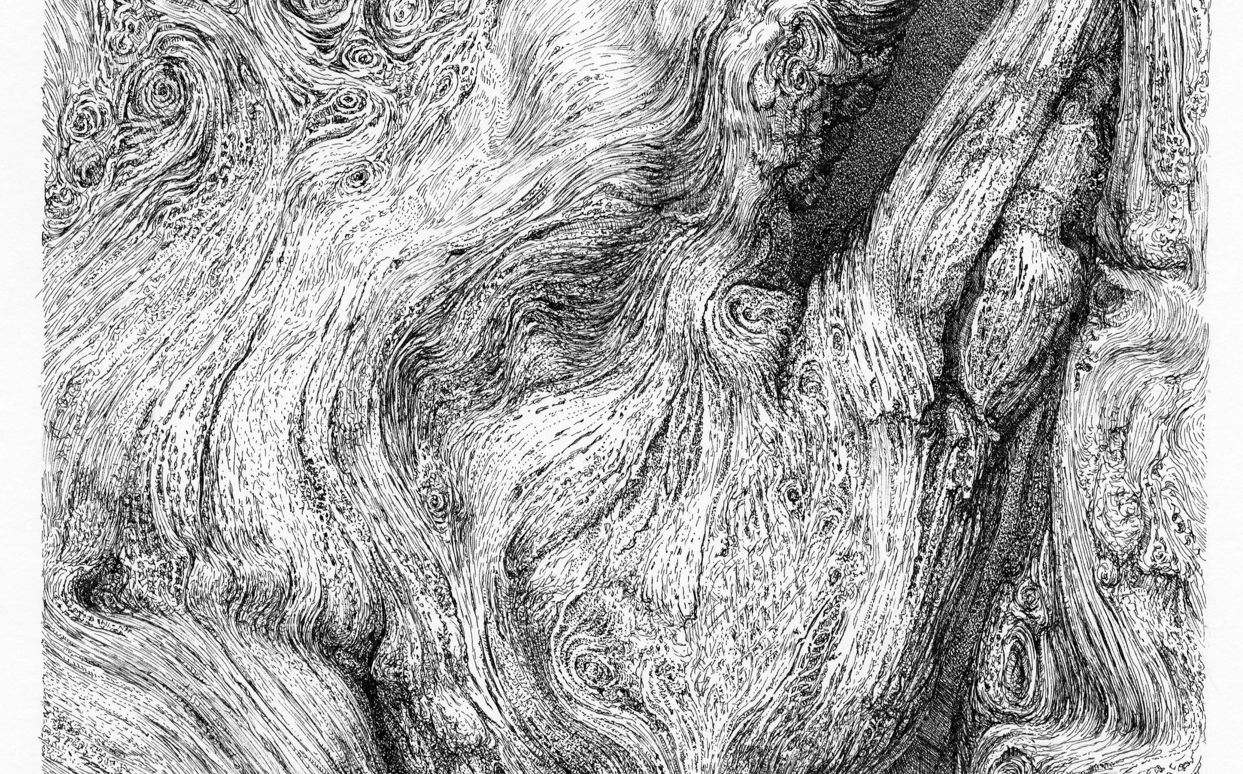 DryTree-300dpi.details.jpg