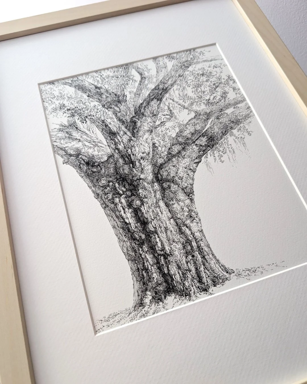 oak_1_frame_deteil_4x5.jpg