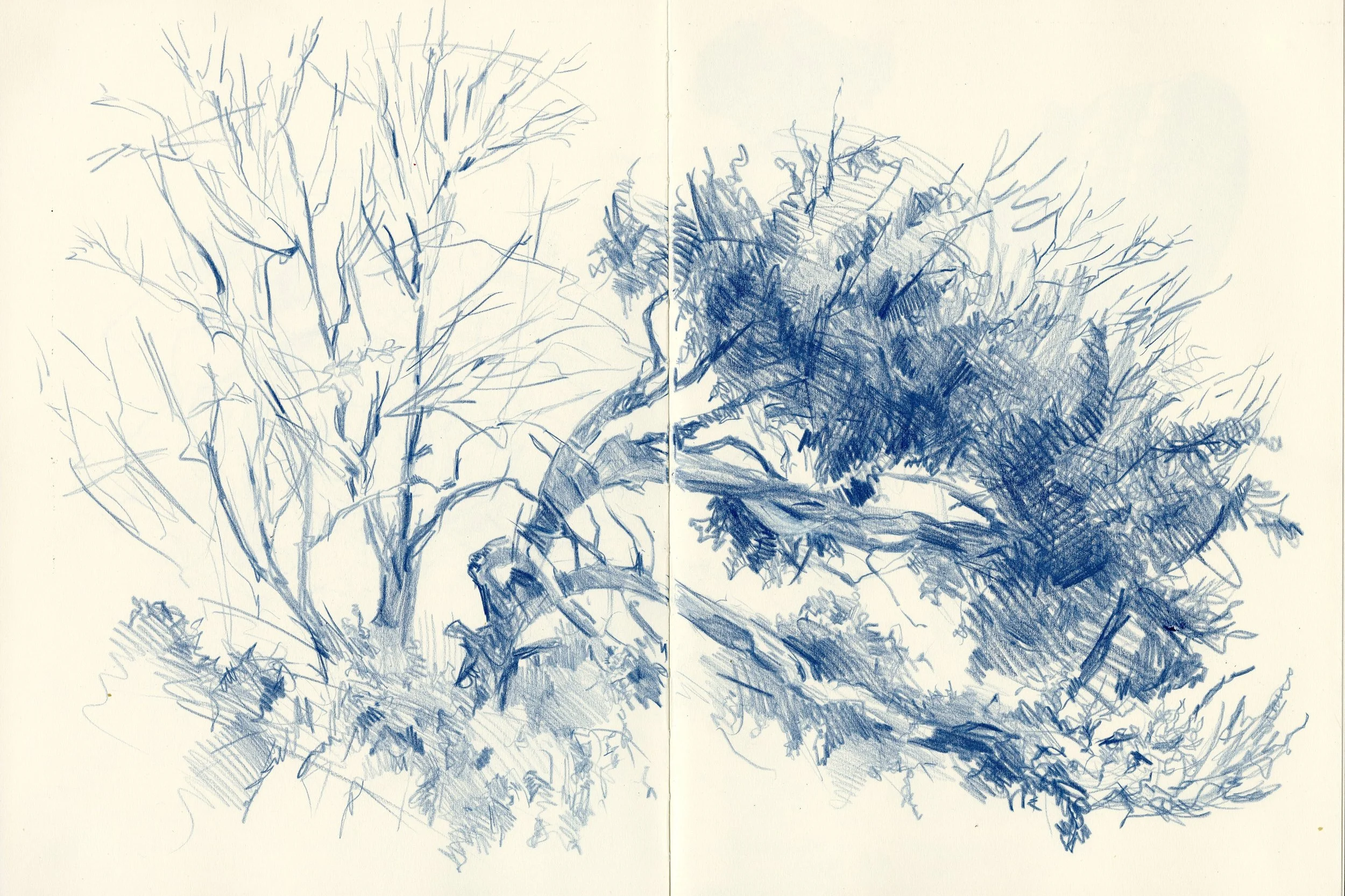 sketchbook_1.jpg