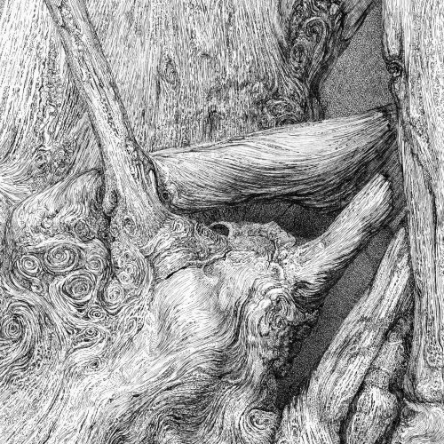A black and white drawing of tree roots and wood, with textured lines and swirling patterns.