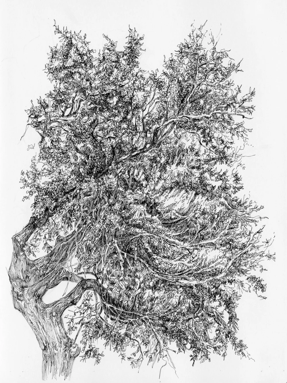 Art of Sketchbook