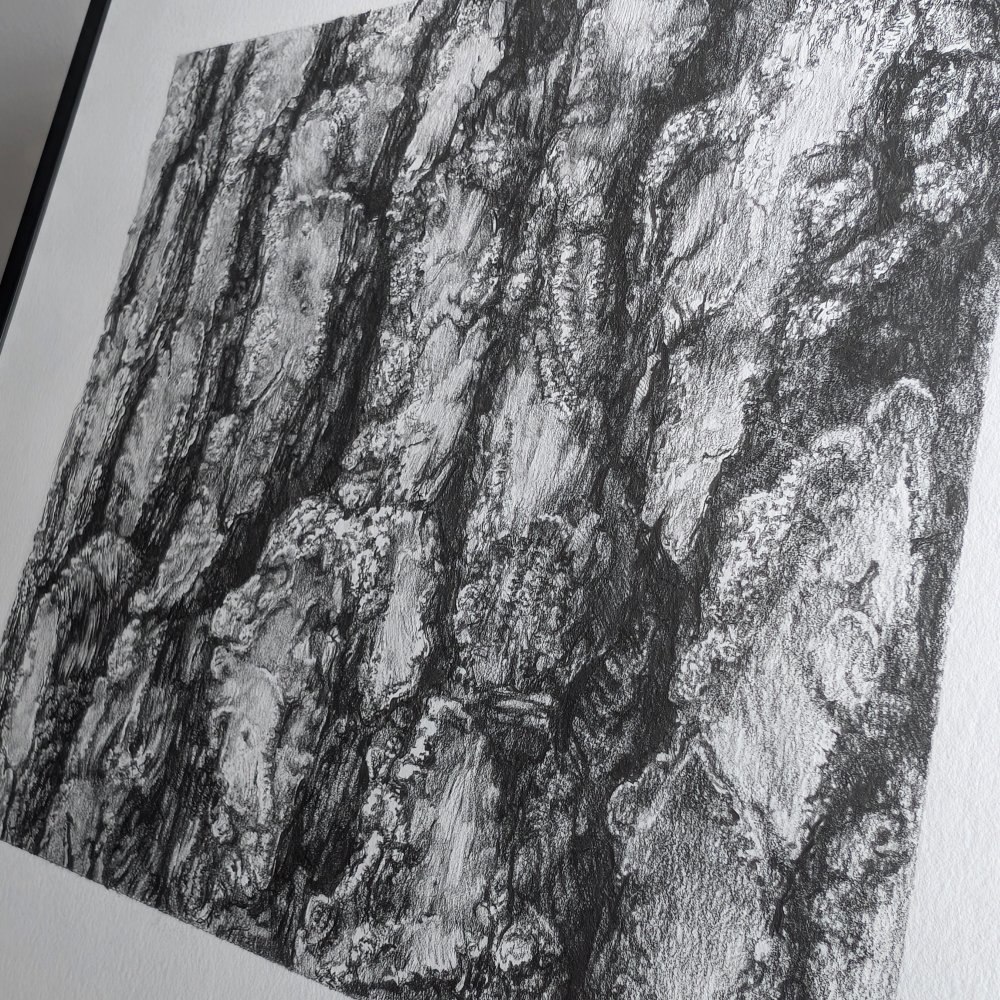 Pine_Bark_1_frame_2_detail_1x1.jpg